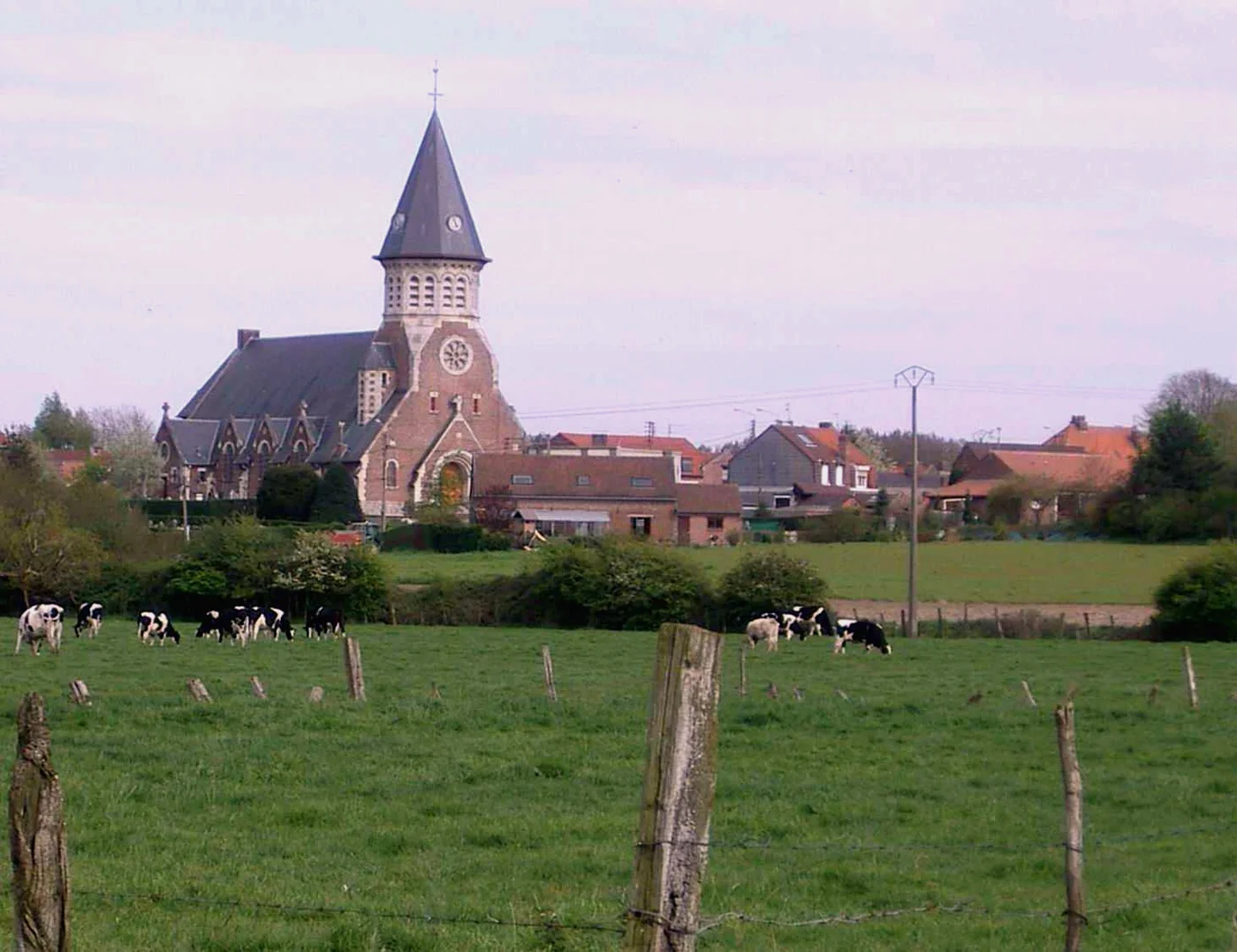 Detailing auto à Fromelles